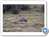 75IMG_5664