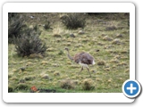 76IMG_5667