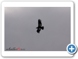 89IMG_5868