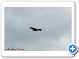 90IMG_5870