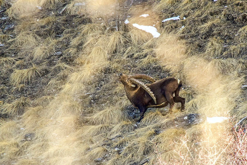 IMG_7216