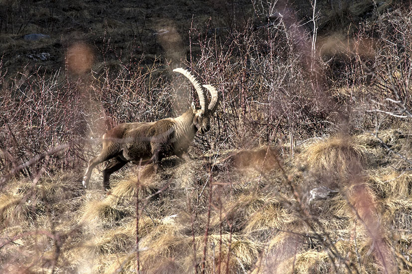 IMG_7447