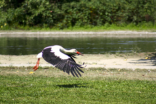 IMG_1835