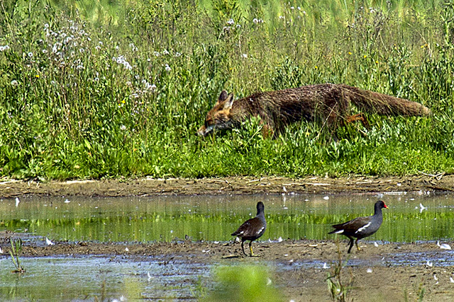 IMG_8047