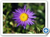 IMG_1661