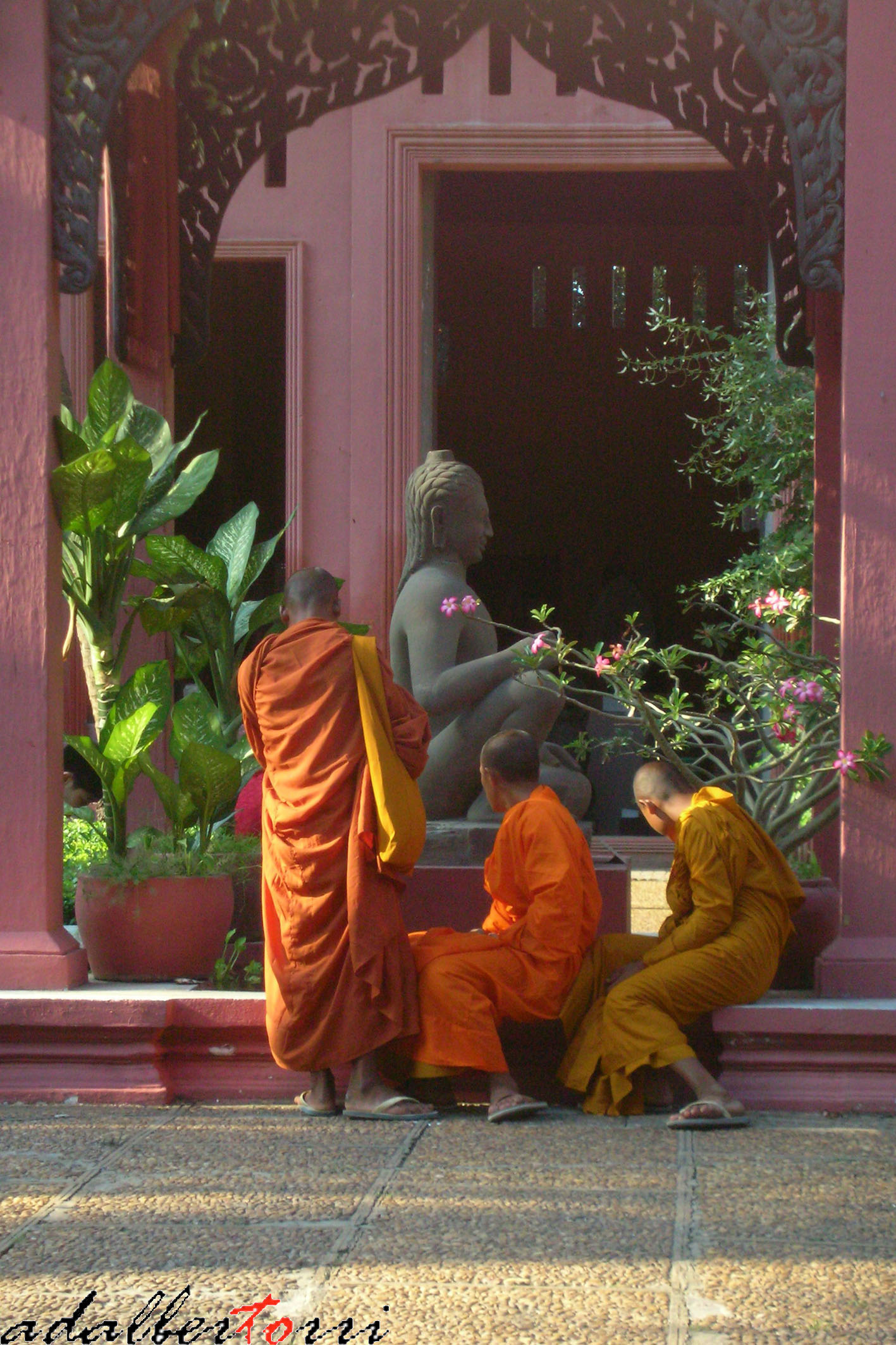 Cambogia