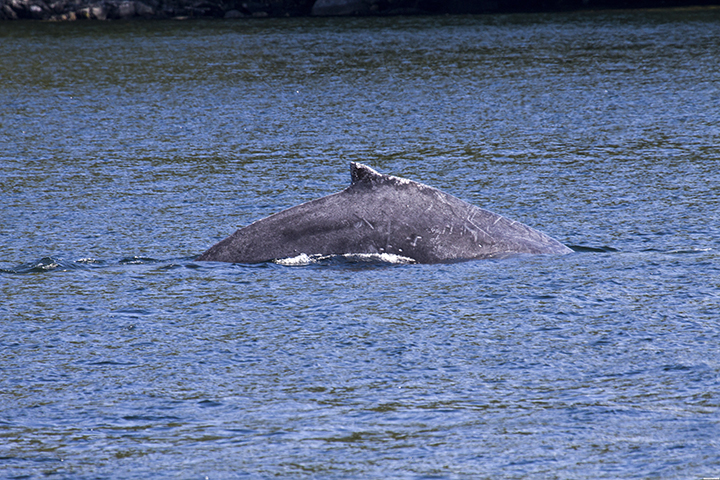 D170905H231813A