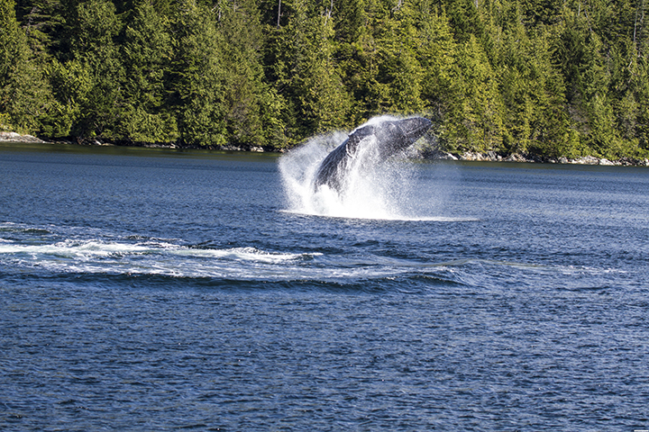 D170905H232920A