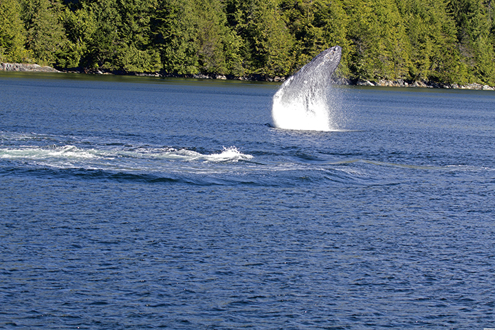 D170905H232920A (1)