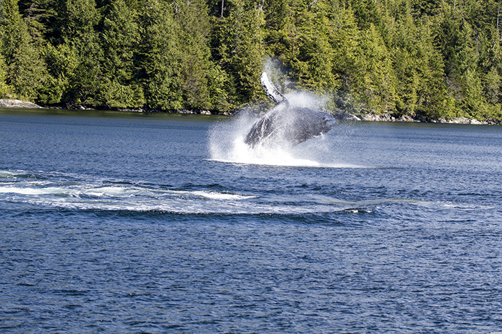 D170905H232921A