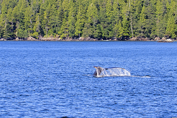 D170905H234227A