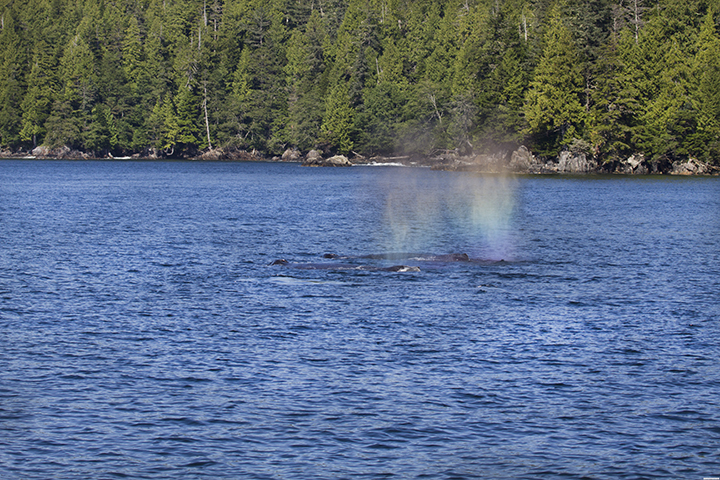 D170905H234238A