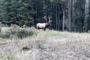D170908H093827MT