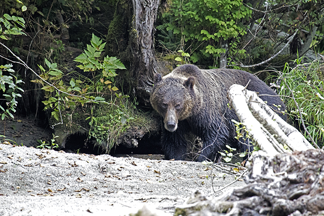 BritishColumbia