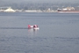 D170829H213132A