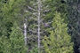 D170903H222802A