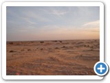 DSCN0336