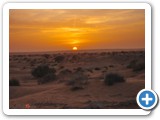DSCN0345